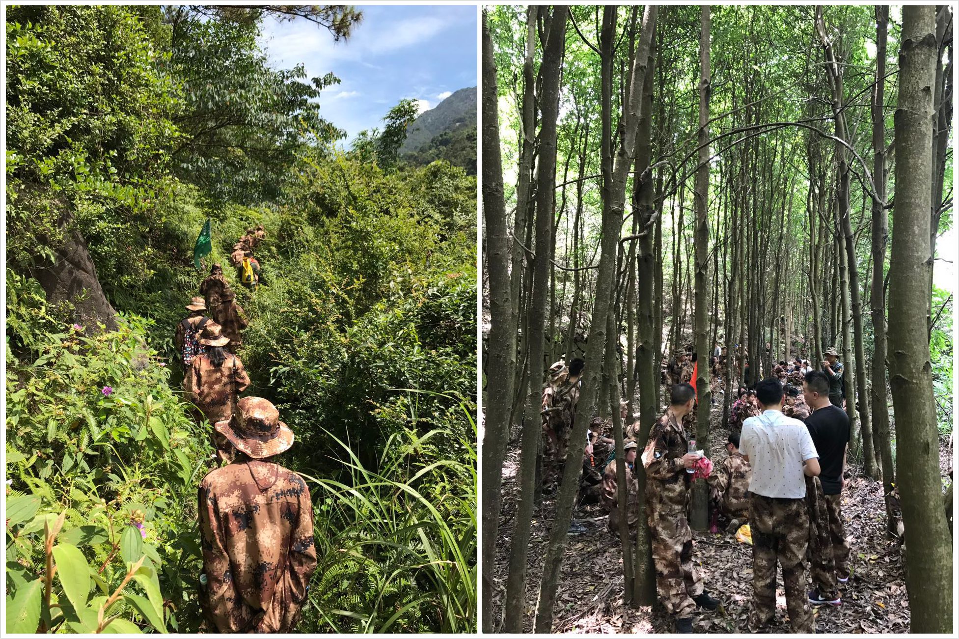 1499734023396187.jpg 拓展1.jpg